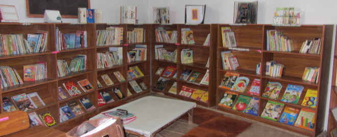 DIL Libraries Cross 80,000 Books in 2013